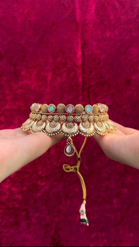 Indian jewlery set/Necklace Set/  Choker/ Bollywood Jewelry/ Indian jewelry/ Pakistani necklace/ punjabi necklace/bridal/