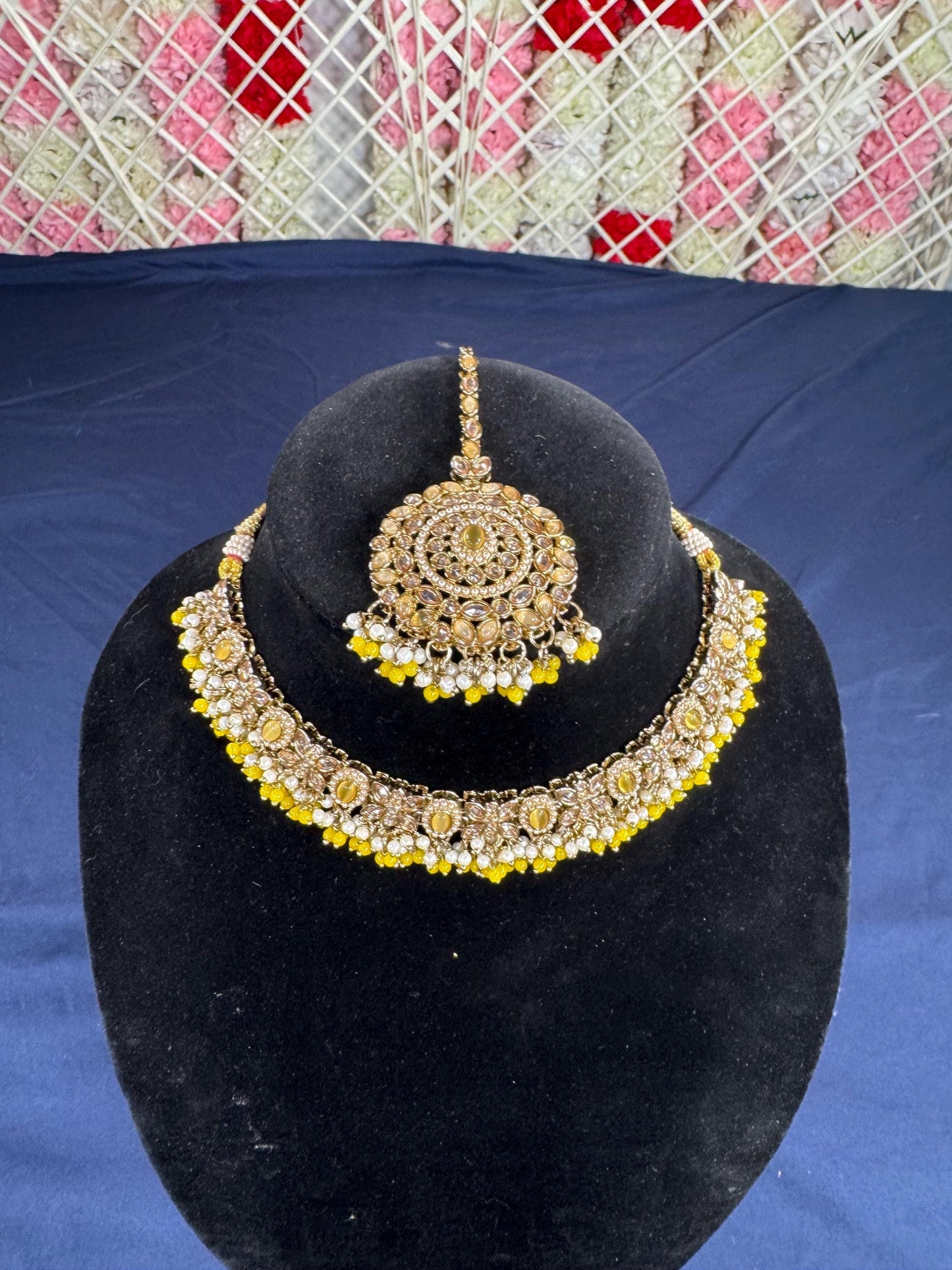 Indian jewlery set/Necklace Set/  Choker/ Bollywood Jewelry/ Indian jewelry/ Pakistani necklace/ punjabi necklace/bridal/
