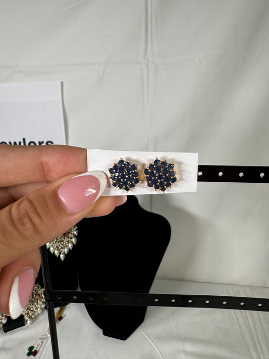 Earrings/ Indian